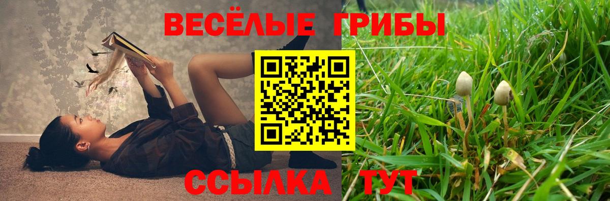 Галлюциногенные грибы Psilocybe Кыштым